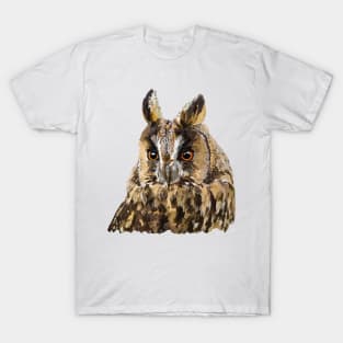 Little Owl T-Shirt